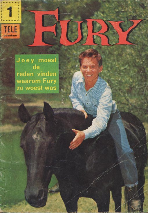 Fury
