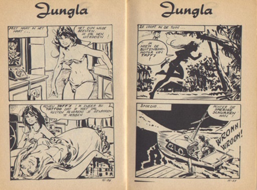 Jungla
