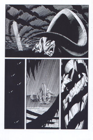 AndreasStrips