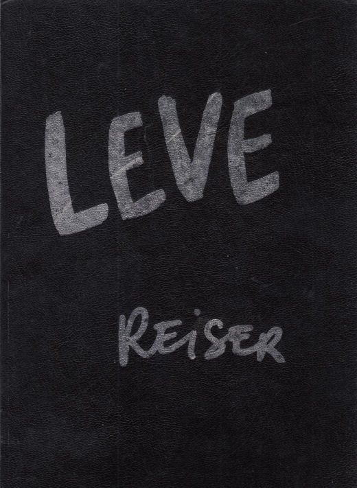 ReiserStrips
