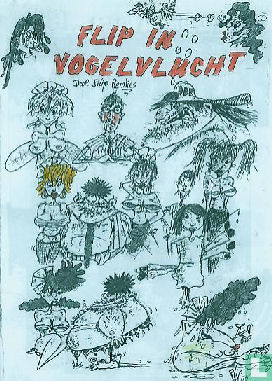 FlipVogelvlucht