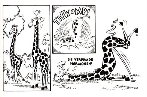 HoeDierenHetDoen