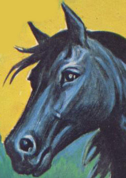 BlackBeauty