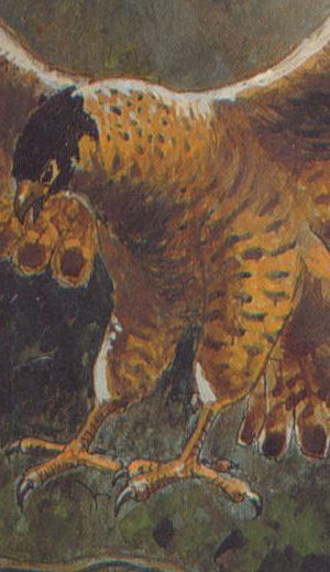 KlauwenMoeras
