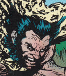 Wolverine